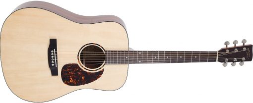 Recording King RD-G6 Solid Top dreadnought - Afbeelding 2
