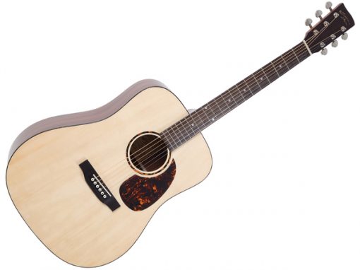 Recording King RD-G6 Solid Top dreadnought