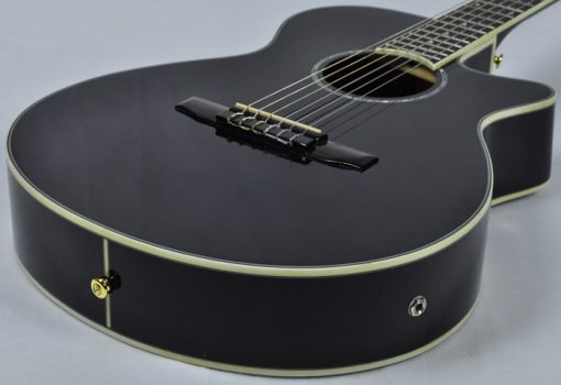 Ibanez AEG 10 II BK - Afbeelding 3