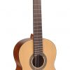 Salvador klassieke gitaar CS-244, 4/4 model - Afbeelding 2