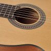 Salvador klassieke gitaar CS-244, 4/4 model - Afbeelding 4