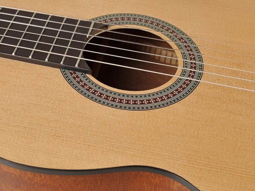 Salvador klassieke gitaar CS-244, 4/4 model - Afbeelding 4