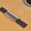 Salvador klassieke gitaar CS-244, 4/4 model