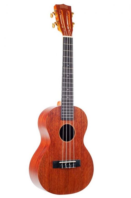 Tenor Ukulele, Java Serie - Trans Brown - AKTMMJ3TBR