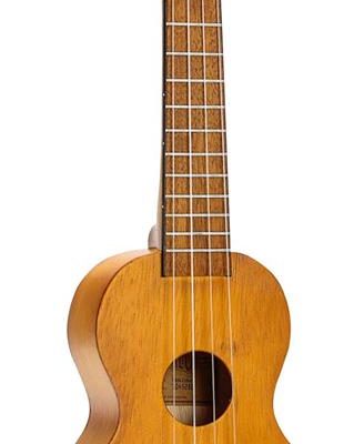 BUC23 Ukulele - Green Webshop