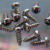 Genuine Fender truss rod cover mounting screws. Chrome round head #3 x 1/4″  pack of 12.
