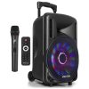 Fenton FT10LED PORTABLE SOUND SYSTEM MET ACCU 10" 450W BT